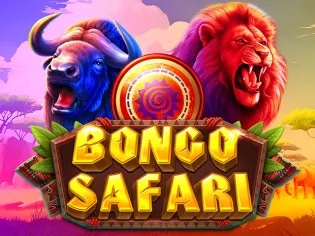 Bongo Safari screenshot